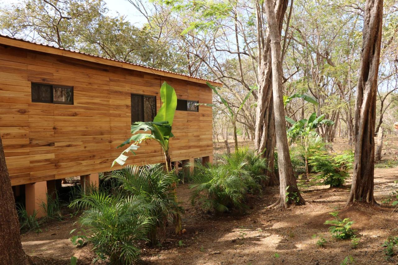 Casa Natural Brasilito Zewnętrze zdjęcie